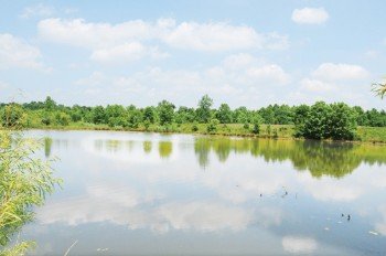 Property photo 23 - 1,025 Acres in 24 Tracts - Exellent Recreation Opportunity - Potential Building Sites - 11 Lakes & Ponds